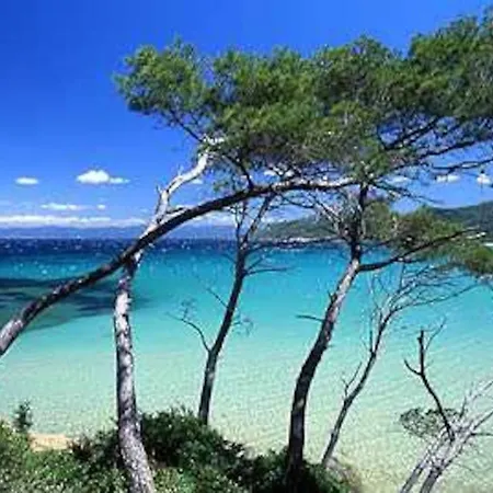 T3 Standing - 1er Etage De Hyeres
